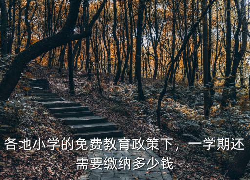 淮南公立小學一學期多少錢,一學期還需要繳納多少錢