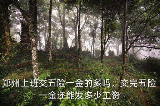 鄭州上班交五險(xiǎn)一金的多嗎，交完五險(xiǎn)一金還能發(fā)多少工資