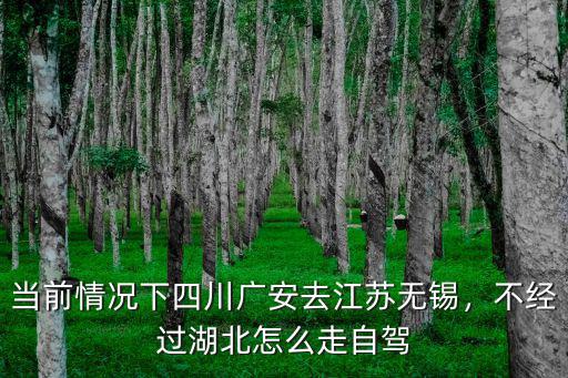 當(dāng)前情況下四川廣安去江蘇無錫，不經(jīng)過湖北怎么走自駕