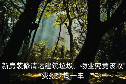 合肥建筑垃圾清運多少錢,新房裝修清運建筑垃圾