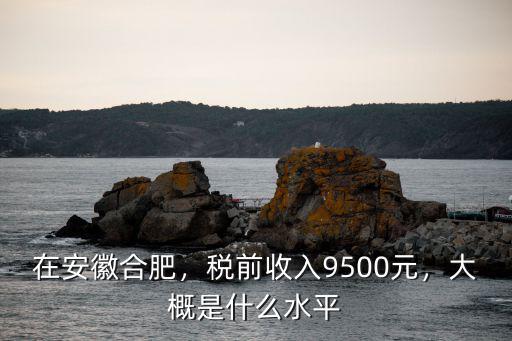 在安徽合肥，稅前收入9500元，大概是什么水平