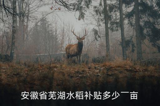 安徽宿松水稻每畝補(bǔ)貼多少,在農(nóng)村耕田稻谷生產(chǎn)有補(bǔ)貼