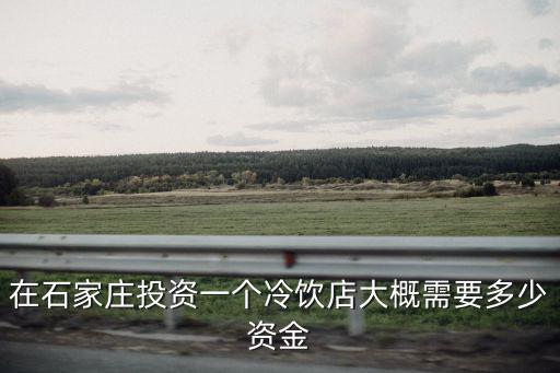 石家莊做飲料小批發需要投資多少錢,需要投資多少錢