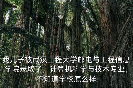 地大武漢計算機學院怎么樣,武漢大學計算機怎么樣