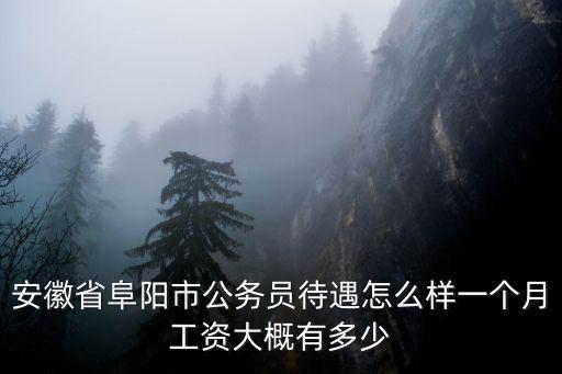 安徽界首老師工資是多少,合肥的教師工資大概是多少