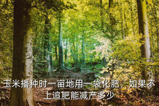 玉米播種時一畝地用一袋化肥，如果不上追肥能減產(chǎn)多少