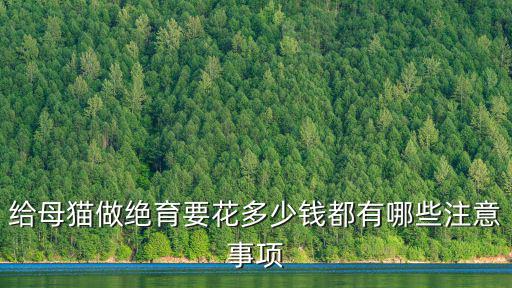 淮南貓咪絕育多少錢,公貓絕育多少錢