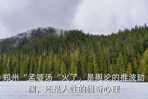 鄭州哪里有賣夏邑湯的,鄭州有哪些好喝的牛羊肉湯館