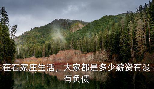 石家莊工人工資是多少,石家莊大部分人工資是多少