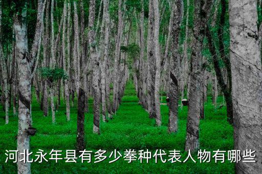 河北邯鄲永年多少人,河北永年縣有多少拳種