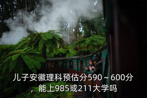 安徽598分理科能排多少名,安徽理科598能上江大么