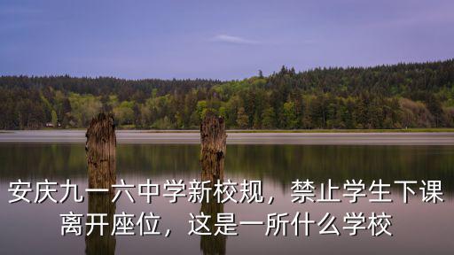 安慶有多少中學,安慶九一六中學新校規