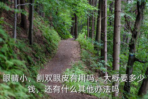 淮南割雙眼皮要多少錢,大概要多少錢