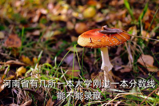 河南省有幾所一本大學剛過一本分數線能不能錄取