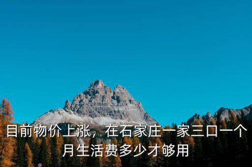 石家莊正常人一個月花多少錢,石家莊月收入多少才能夠生活