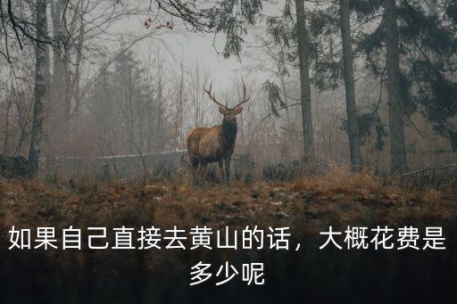 去黃山跟團的費用是多少,大概花費是多少呢