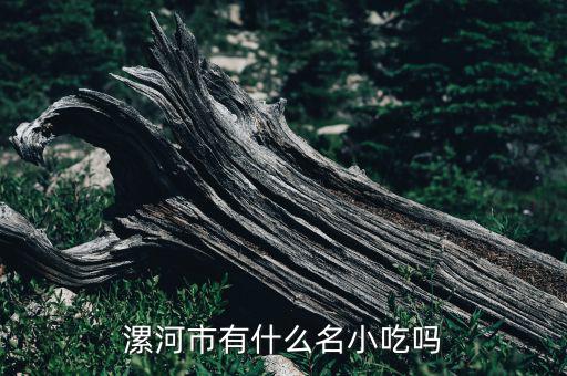 漯河市哪里有好吃的面條,漯河有哪些比較有特色的飯店