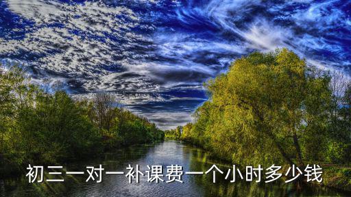 初三一對一補課費一個小時多少錢
