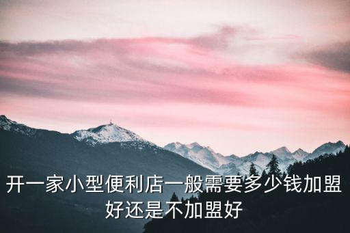 開一家小型便利店一般需要多少錢加盟好還是不加盟好