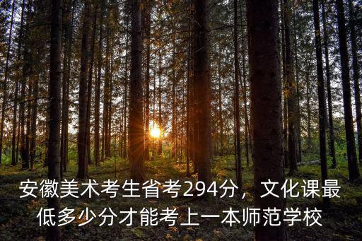 安徽美術考生省考294分，文化課最低多少分才能考上一本師范學校