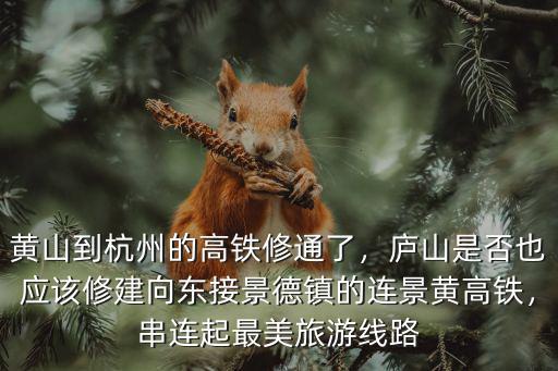 黃山到杭州的高鐵修通了，廬山是否也應(yīng)該修建向東接景德鎮(zhèn)的連景黃高鐵，串連起最美旅游線路