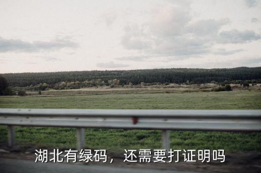 湖北有綠碼，還需要打證明嗎