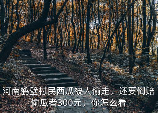 河南鶴壁村民西瓜被人偷走，還要倒賠偷瓜者300元，你怎么看
