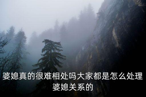 婆媳真的很難相處嗎大家都是怎么處理婆媳關(guān)系的