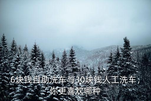 唐山自助洗車多少錢,自助洗車項目如何