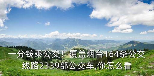 一分錢乘公交！覆蓋煙臺164條公交線路2339部公交車,你怎么看