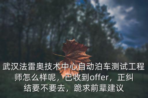 武漢法雷奧技術中心自動泊車測試工程師怎么樣呢，已收到offer，正糾結要不要去，跪求前輩建議