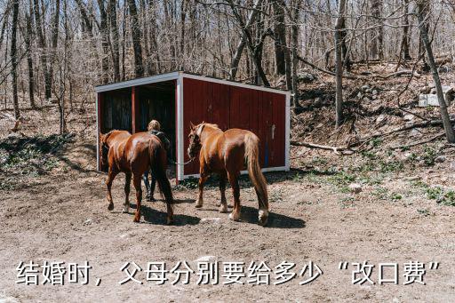 結(jié)婚時(shí)，父母分別要給多少“改口費(fèi)”