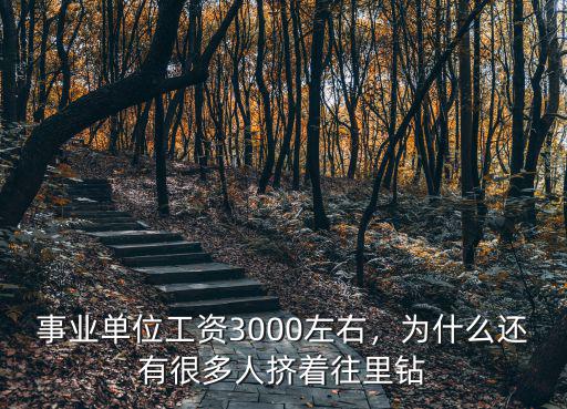 蚌埠事業單位工資一般多少,事業單位工資3000左右
