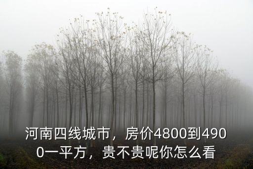 河南四線城市，房價4800到4900一平方，貴不貴呢你怎么看