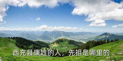四川西充姚氏祖先是哪里人,西充縣康姓的人