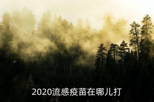 自貢流感預(yù)苗哪里打,在哪里打流感疫苗比較靠譜