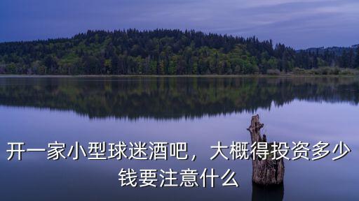 石家莊開酒吧要多少錢,開一家小型球迷酒吧
