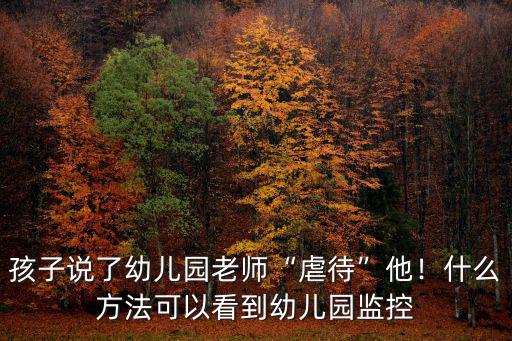 黃石天方幼兒園監控怎么看,什么方法可以看到幼兒園監控