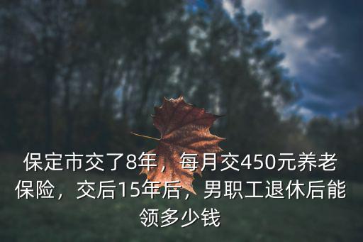 保定養老保險領多少,每月交450元養老保險