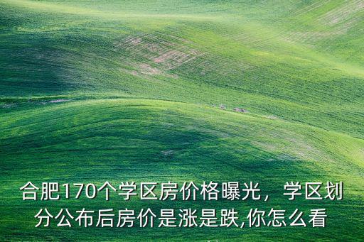 合肥市瑞陽公館學區房價多少,學區劃分公布后房價是漲是跌