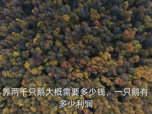 邢臺成鵝多少錢一只,一只鵝有多少利潤
