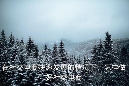 在社交電商快速發展的情況下，怎樣做好社交電商