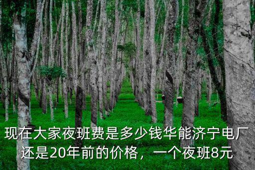 安徽電網(wǎng)夜班費(fèi)多少錢,現(xiàn)在大家夜班費(fèi)是多少錢