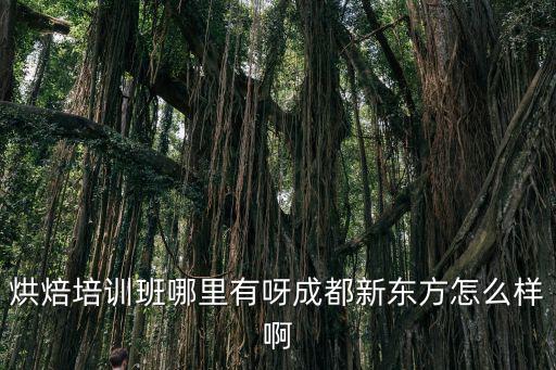 成都烘焙培訓學校在哪里,四川成都哪個烘焙培訓學校好