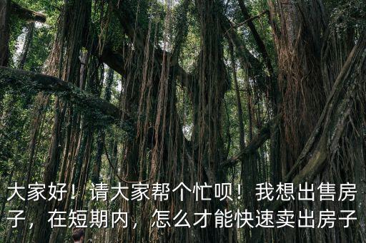 大家好！請(qǐng)大家?guī)蛡€(gè)忙唄！我想出售房子，在短期內(nèi)，怎么才能快速賣出房子