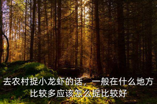 駐馬店哪里可以捉小龍蝦,去農村捉小龍蝦的話
