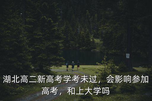湖北高考學(xué)考不過怎么辦,湖北高二新高考學(xué)考未過