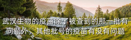 武漢生物的疫苗除了被查到的那一批有問題外，其他批號的疫苗有沒有問題