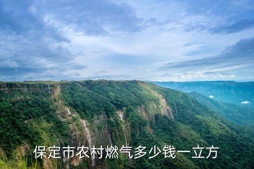 保定市農(nóng)村燃?xì)舛嗌馘X一立方
