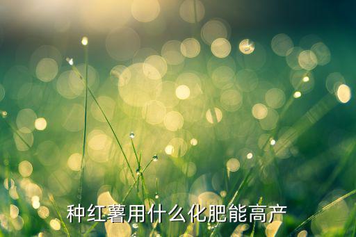 紅薯用多少復合肥,種紅薯用什么化肥能高產